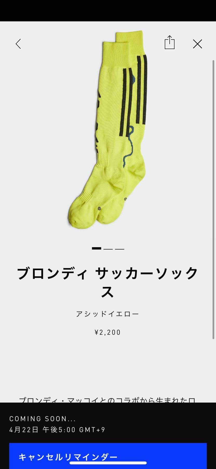 無事にきて良かった
アパレルも良さげだし値段も去年の秋冬の