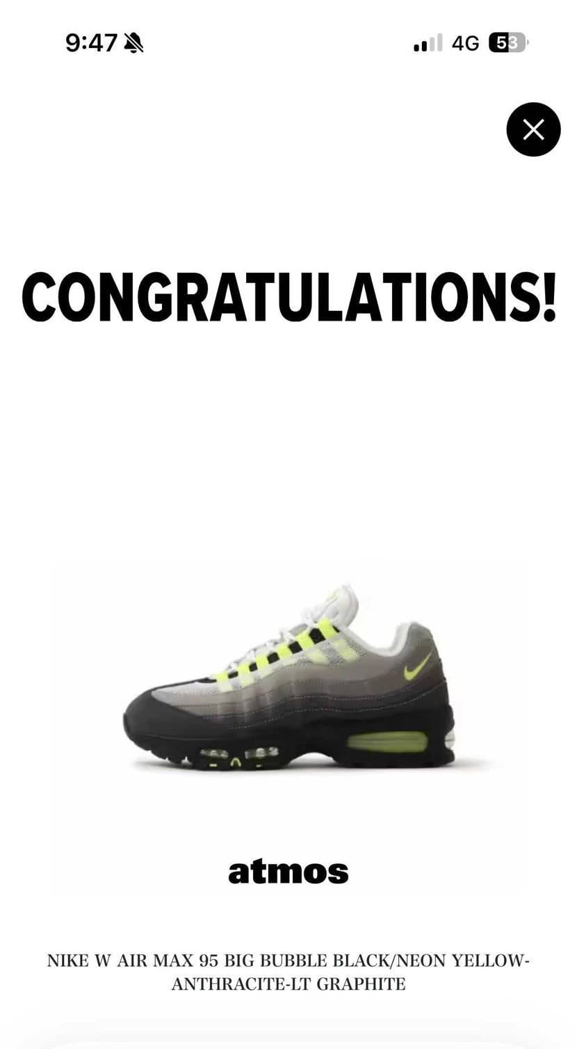 nike、abc、fms、a+sは全落でatmosが保険で申し込んだwmnsのみ