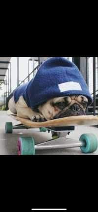 funnyyy