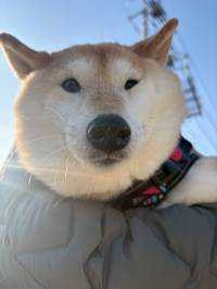 ユーザーアイコン