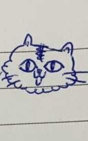 アピ