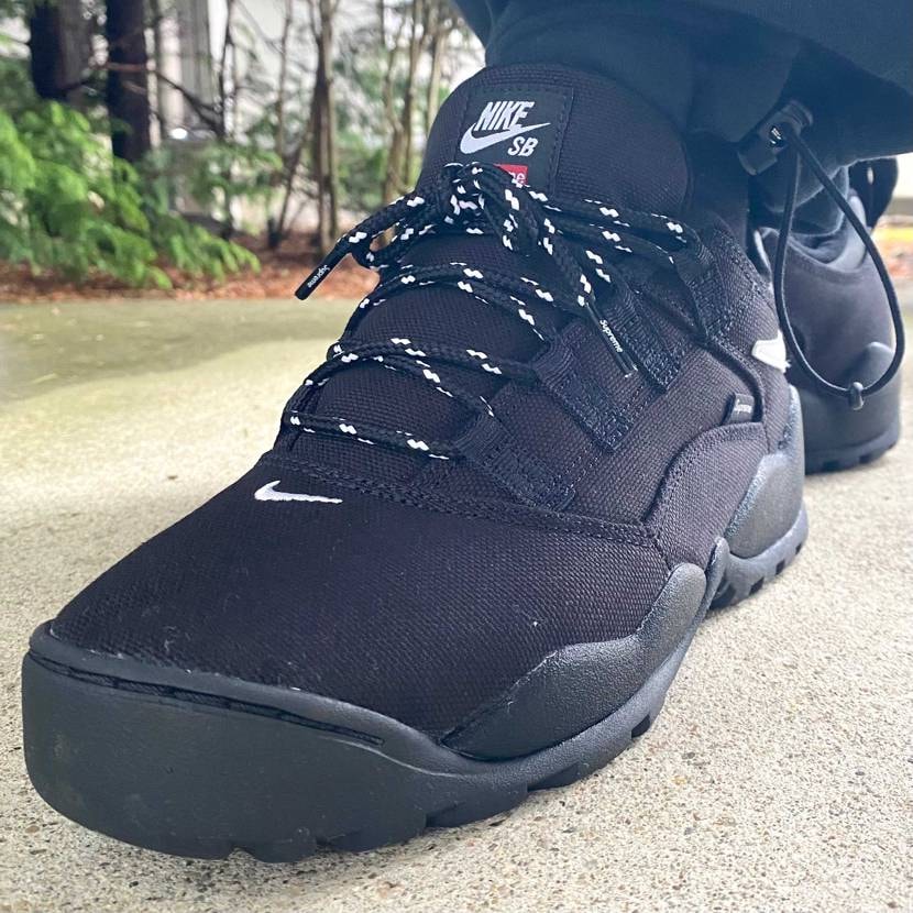 本日はSupreme × Nike SB Darwin Lowでお出かけ☔️
