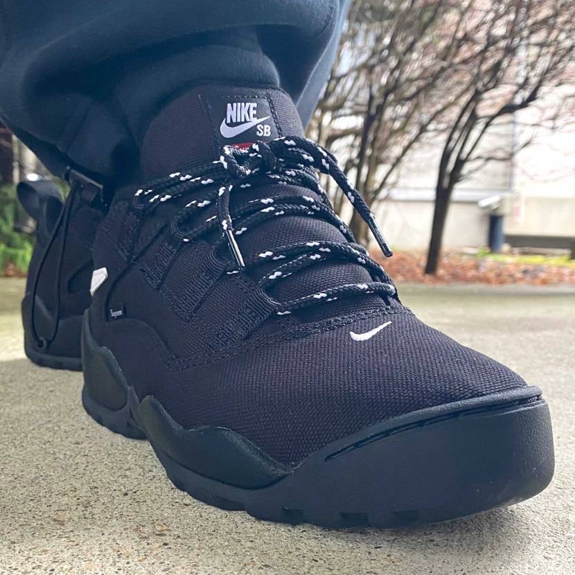 本日はSupreme × Nike SB Darwin Lo