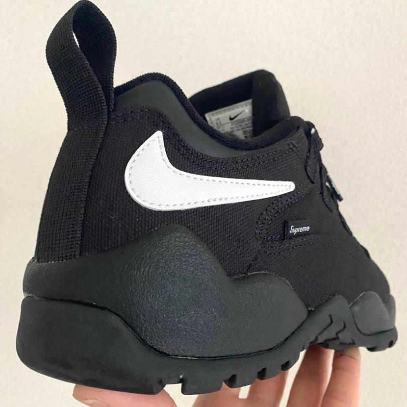 本日はSupreme × Nike SB Darwin Lo