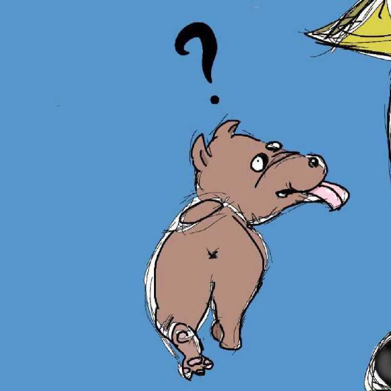 ちょこ