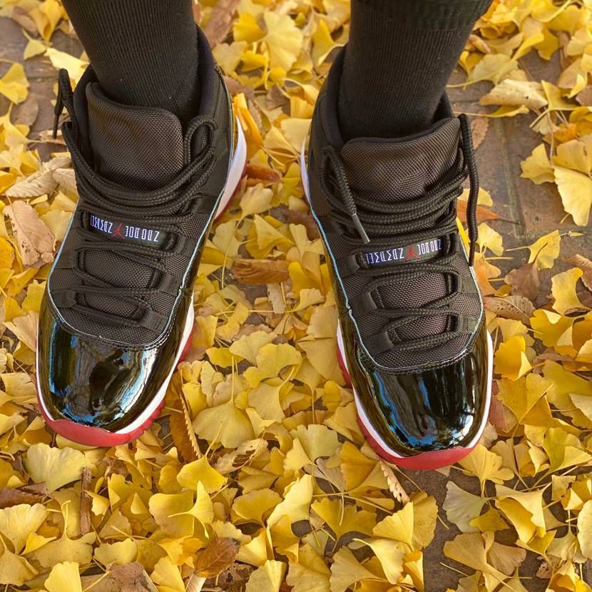 11月後半とは思えない程の暖かさですね🍁