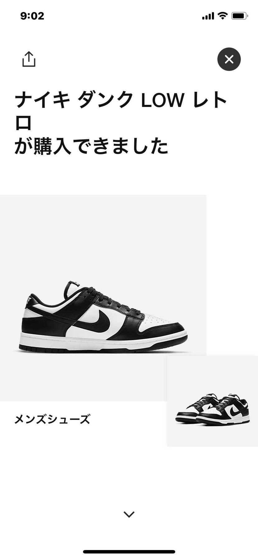 初パンダ🐼