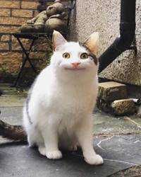 エト