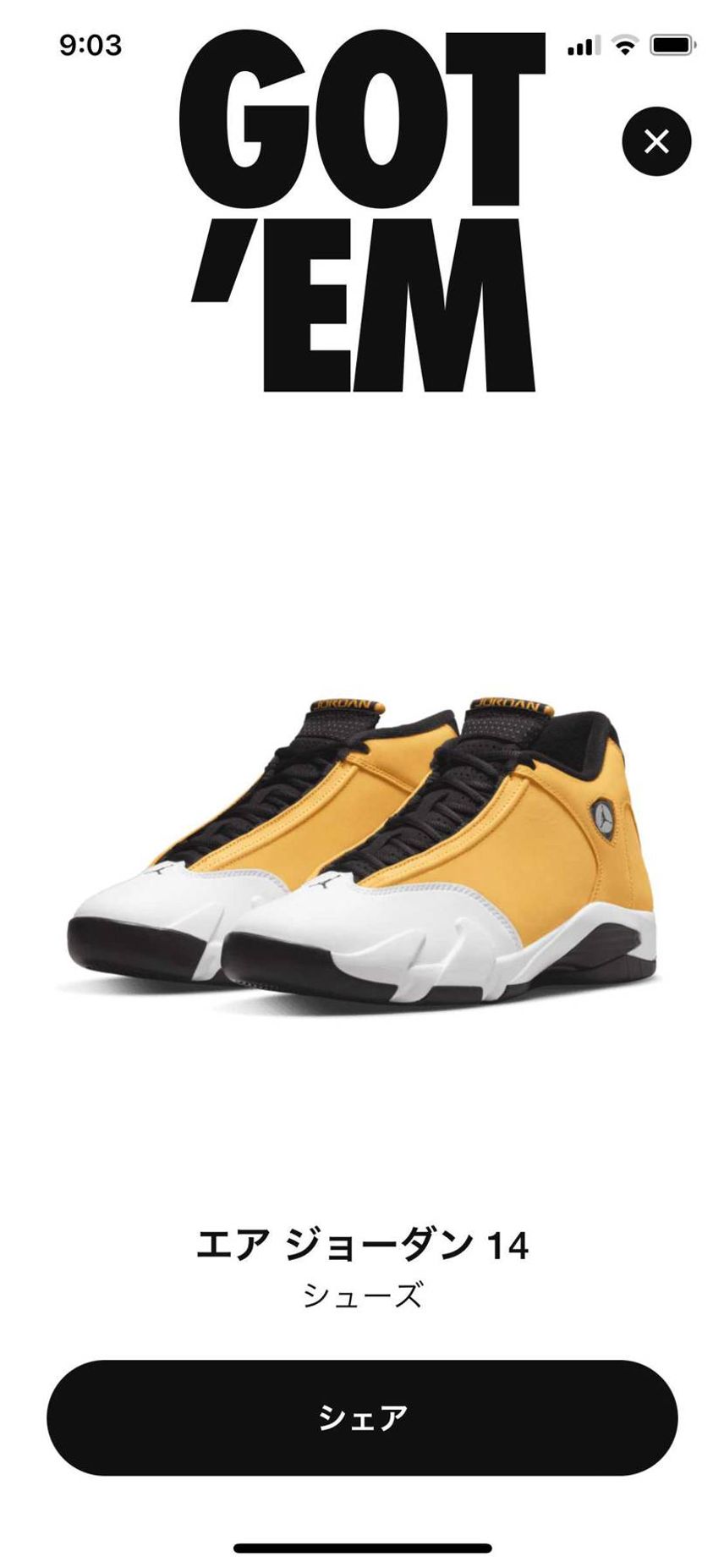 人気は無さげですがオリジナルカラーの復刻ということでAJ14を GOT'EM😊