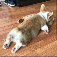 裕太