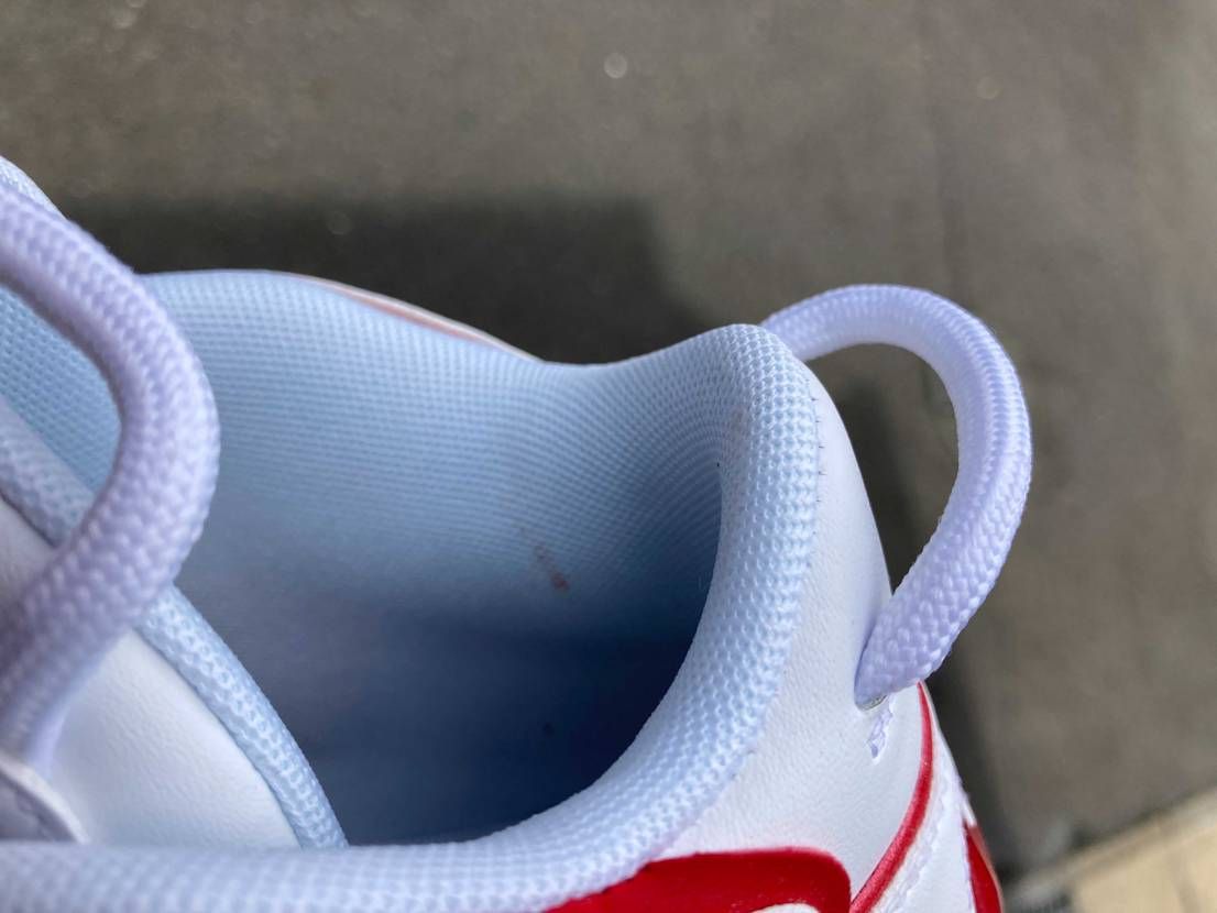 今日スニーカーダンクから届いた新品、未使用のスニーカーに血の
