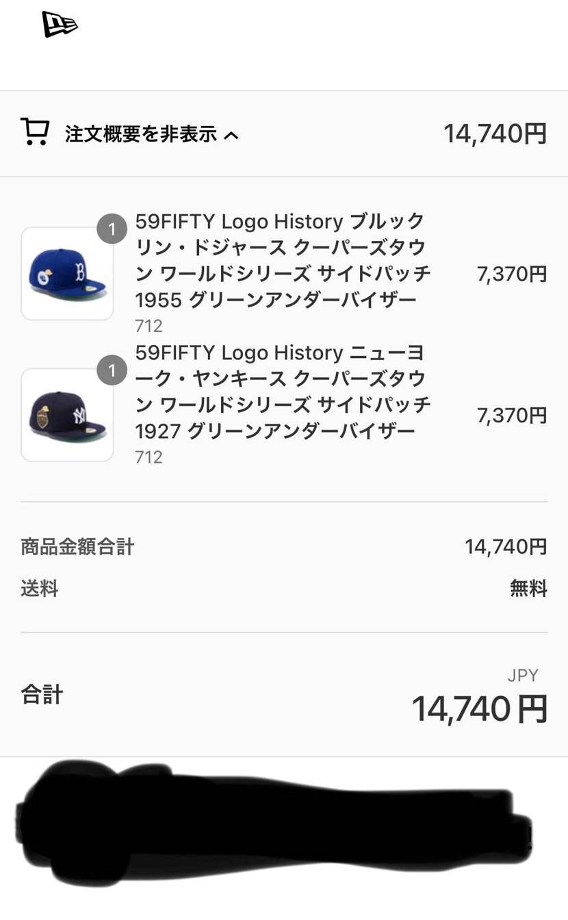 買ってしまいました😆