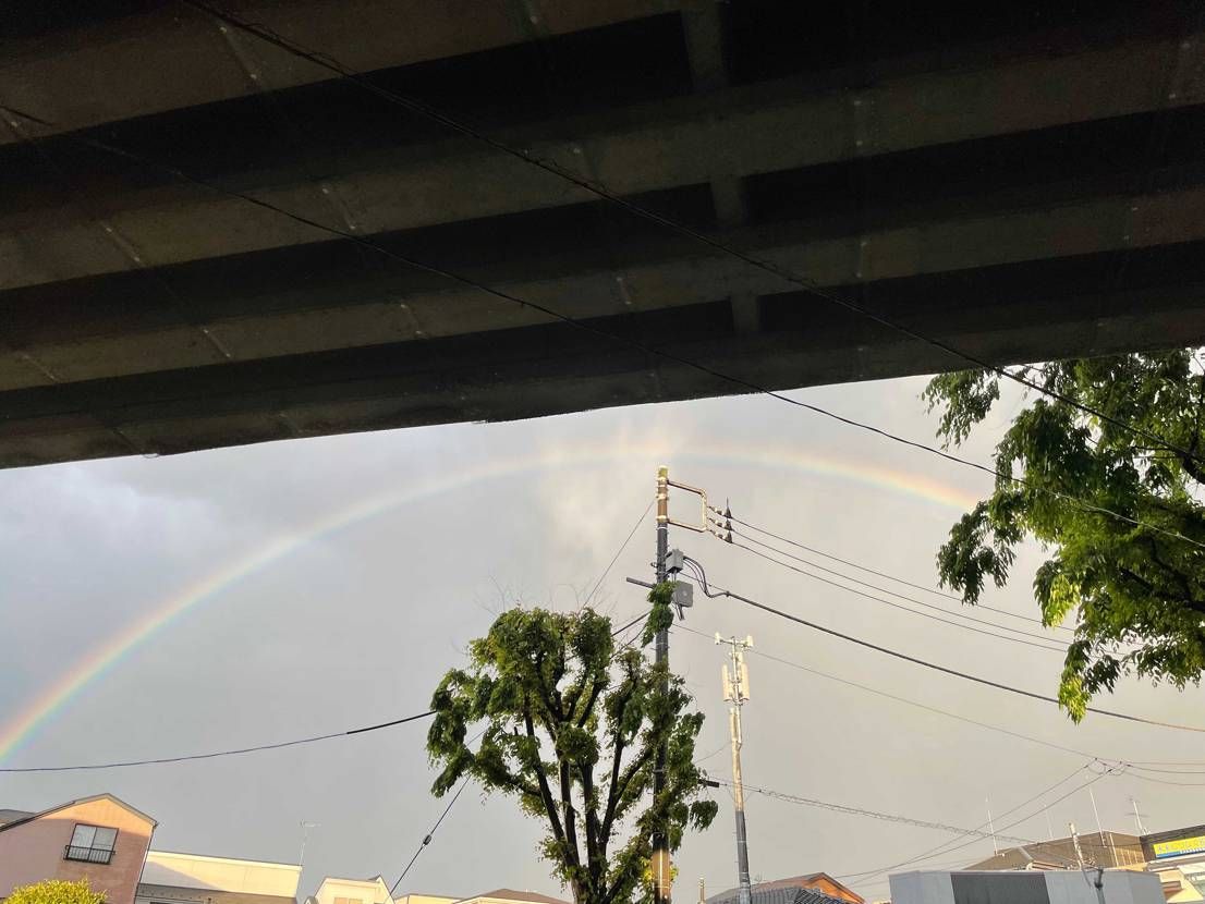 綺麗な虹🌈