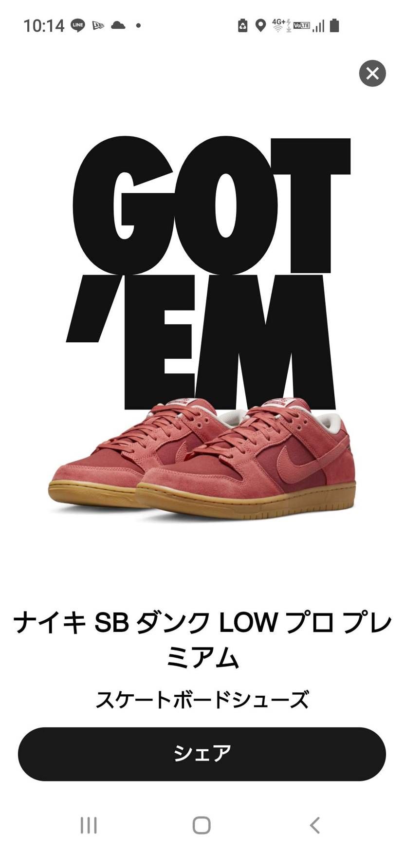 10時過ぎたから🐿️無いのかなと思ってたら、ありましたぁ
