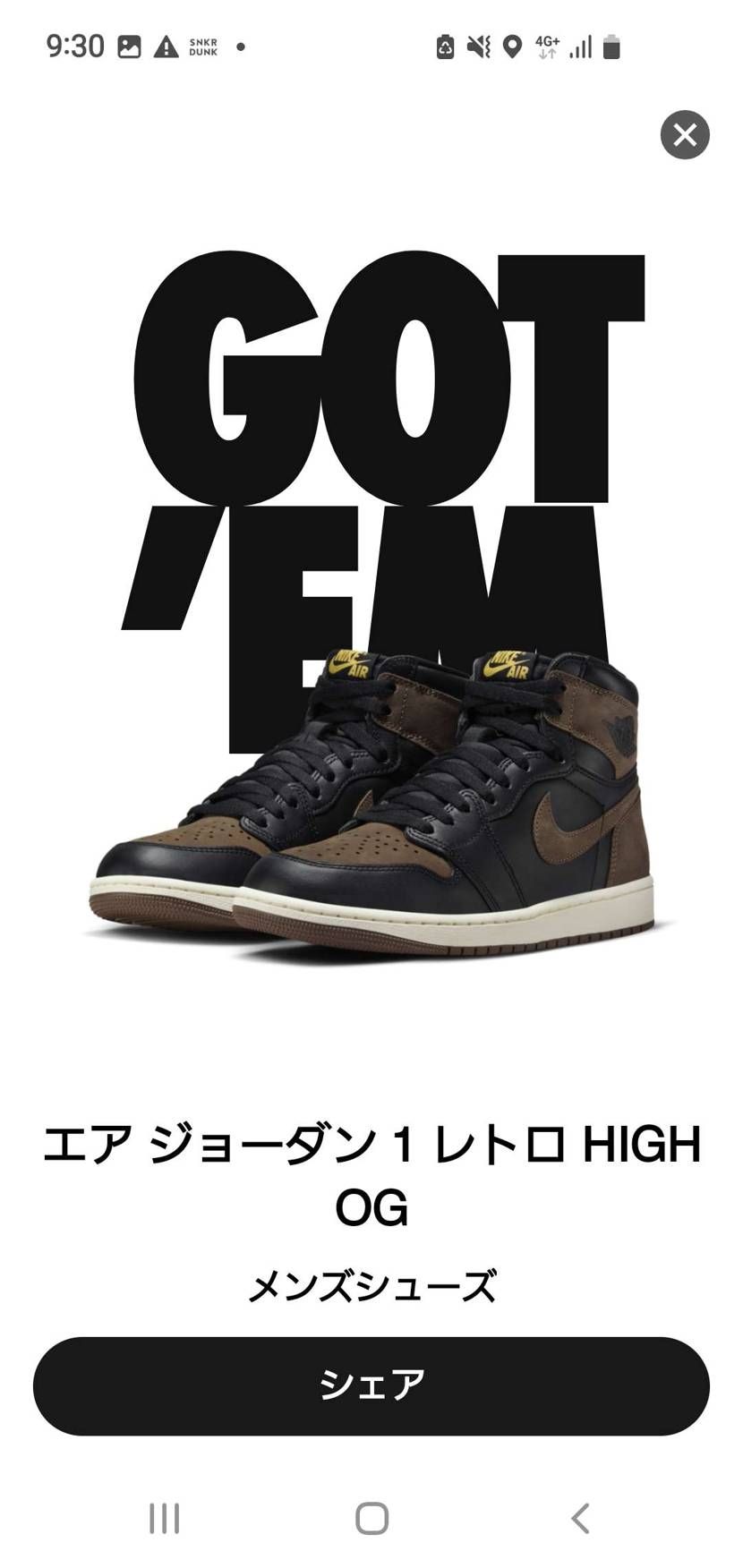 久々に🐿️拾えた✨✌