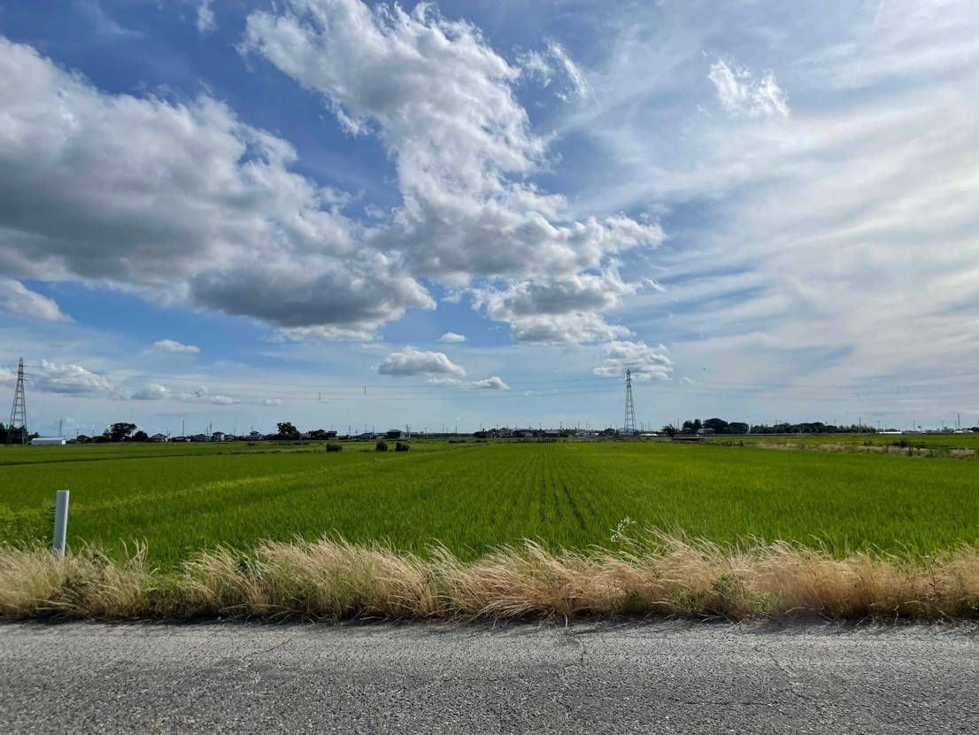 (｣^o^)｣ﾊﾘﾄｽﾄﾞｺﾆｳｯﾃﾙﾉｰ!!