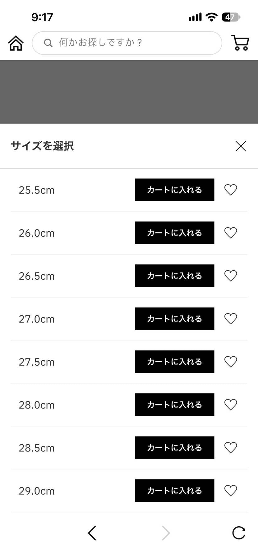 一般でも買えるけど、まぁ送料がいらんかったと思えばいいかな。