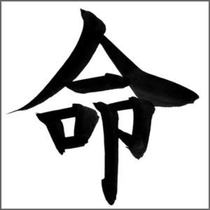 makoto