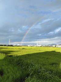 田舎者
