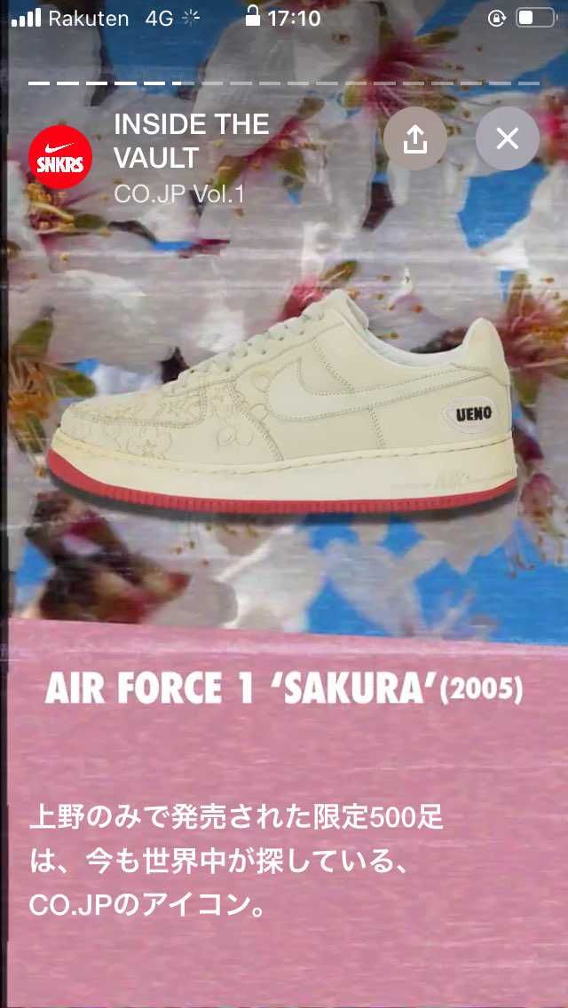 サクラしか勝たん