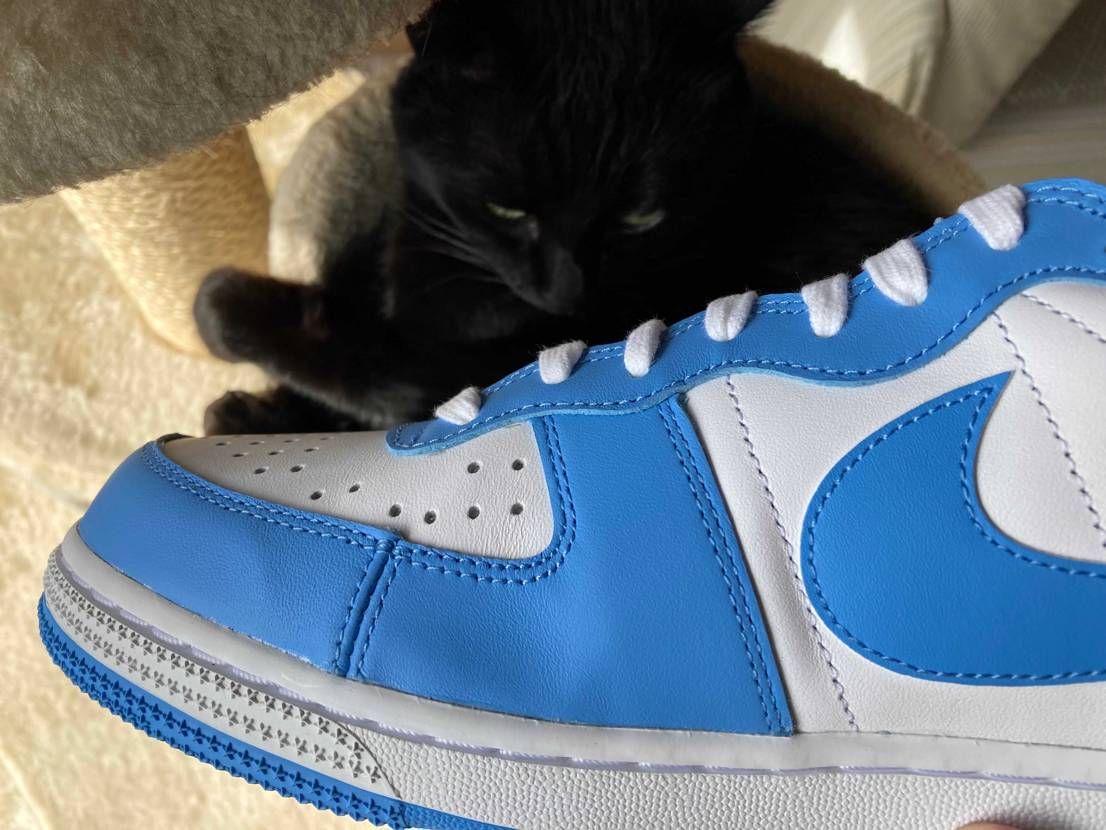 ターミネーターUNC最速レビュー

個体差
スウッシュとヒールの所は合皮だ