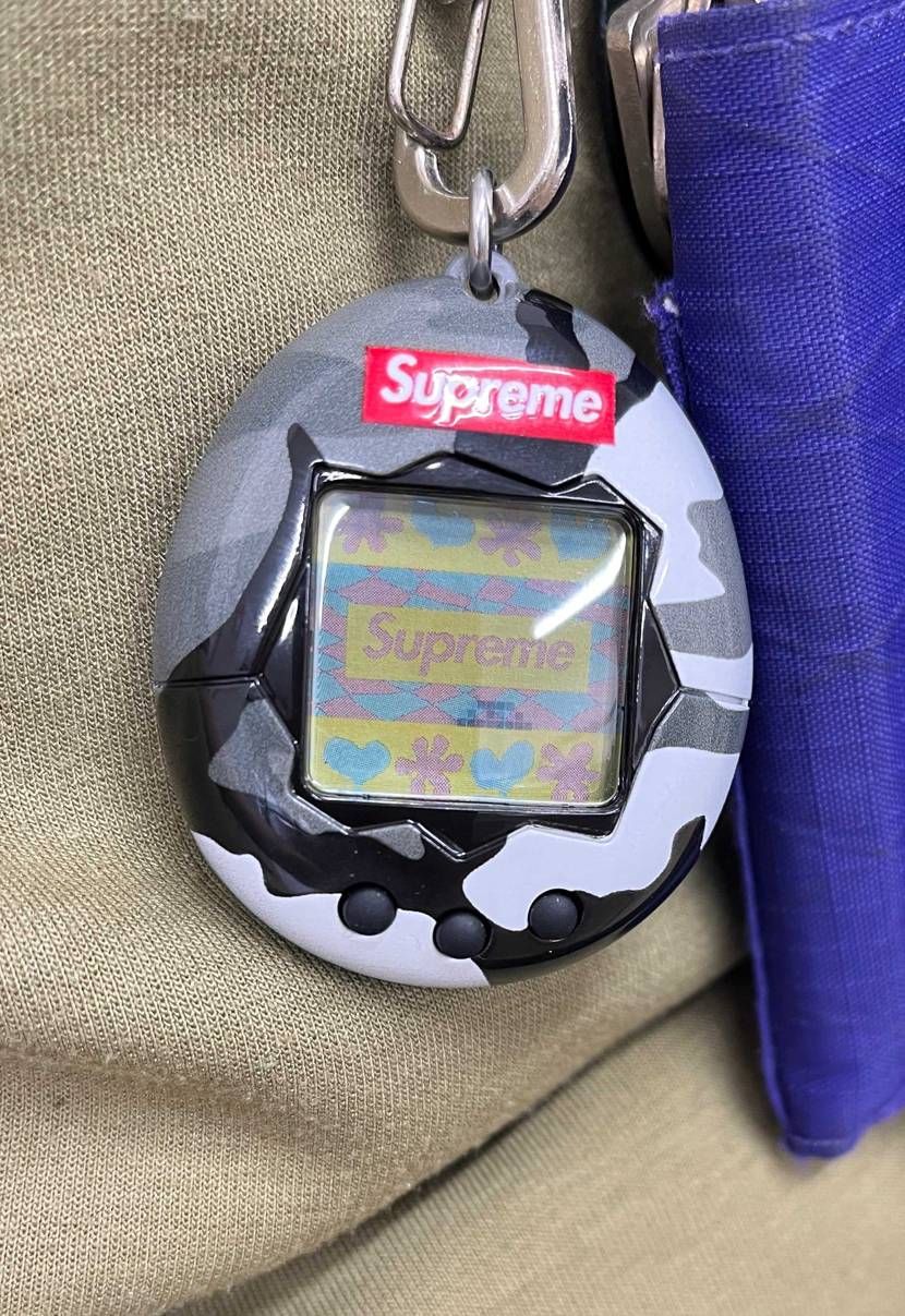 ゲームも出来るアクセサリーと考えれば高くない（高い）