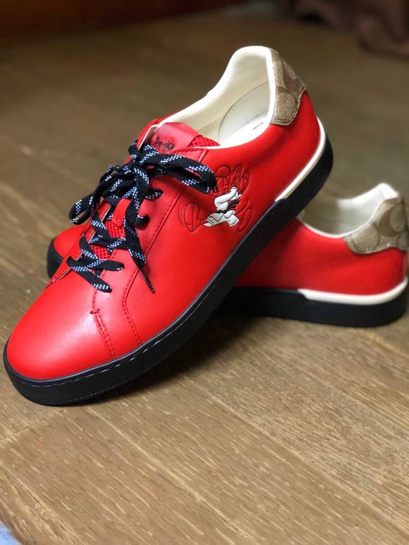 まぁスニダンは到底取り上げることのないブランドだろうから笑
coach日本限定