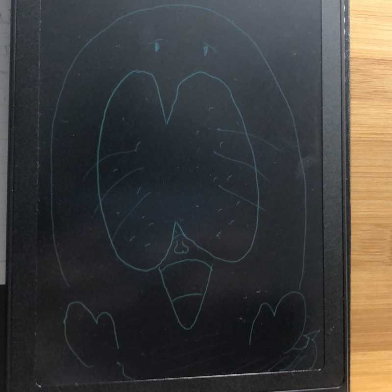 Tokkun