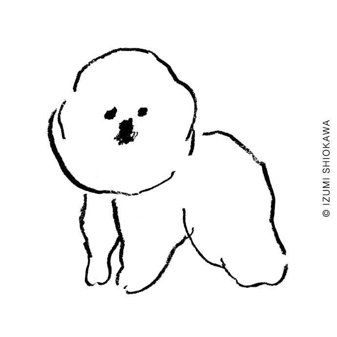 ユーザーアイコン