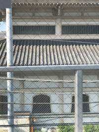 シンゴ(出品者)