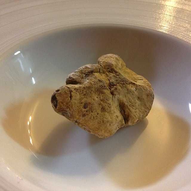 白トリュフ