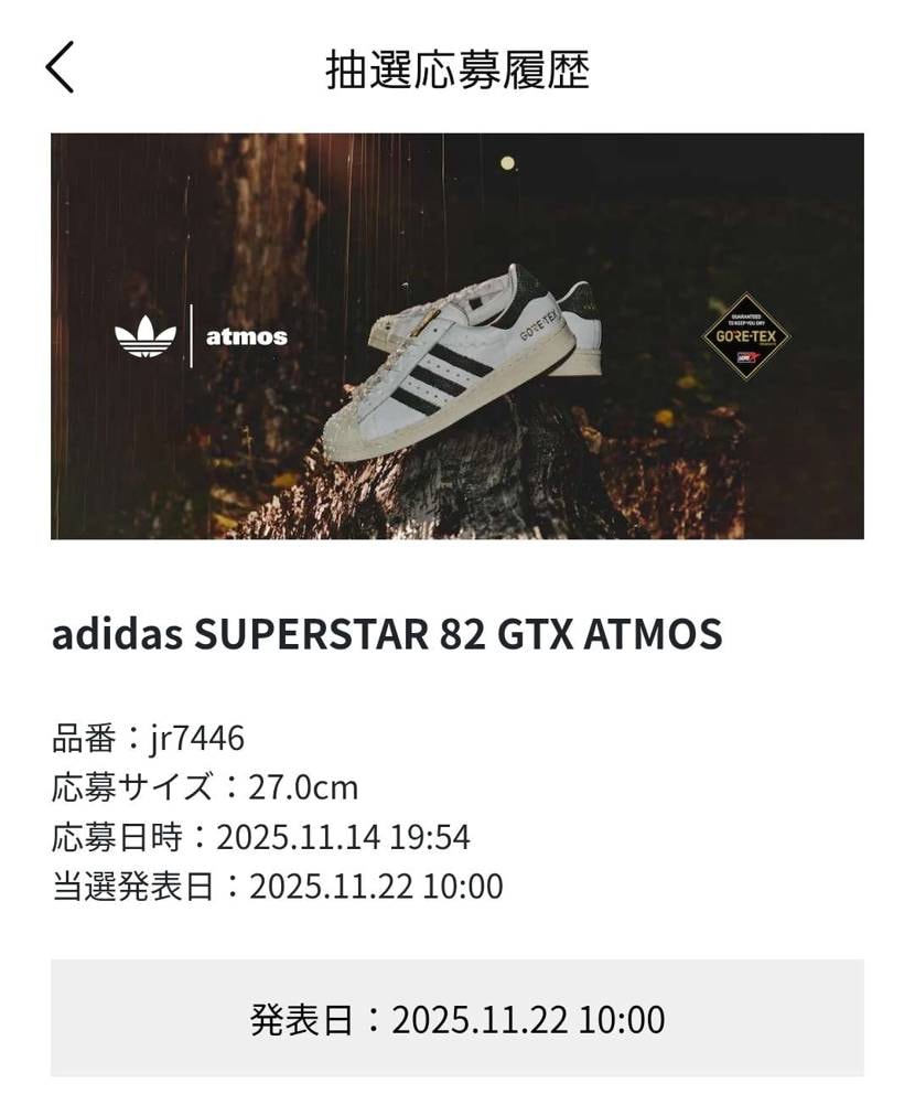 当たる気はしないけど応募。
コラボ物ではあるけど、
(防水という)実用的なと