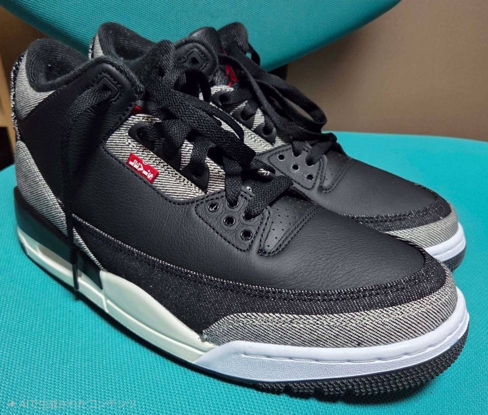 (背景だけAIに消してもらいました)
インソールが届いたので入れた。
これで