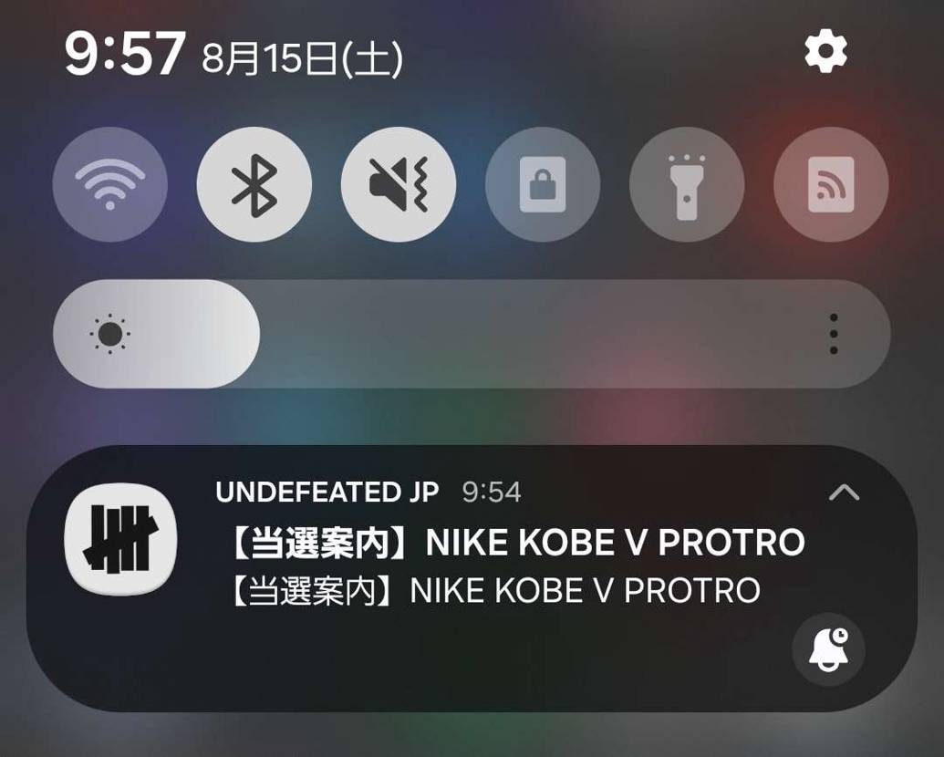 SNKRSハズレてUndefeated当たり。
まさか当た