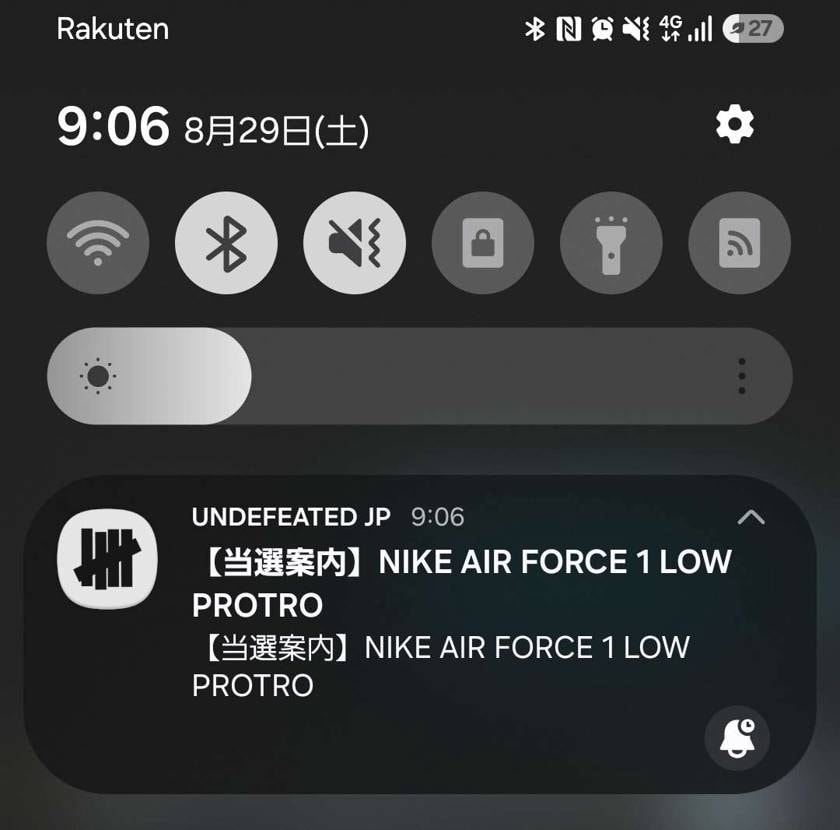 Undefeated来たぁ！

SNKRSは安定の落選(