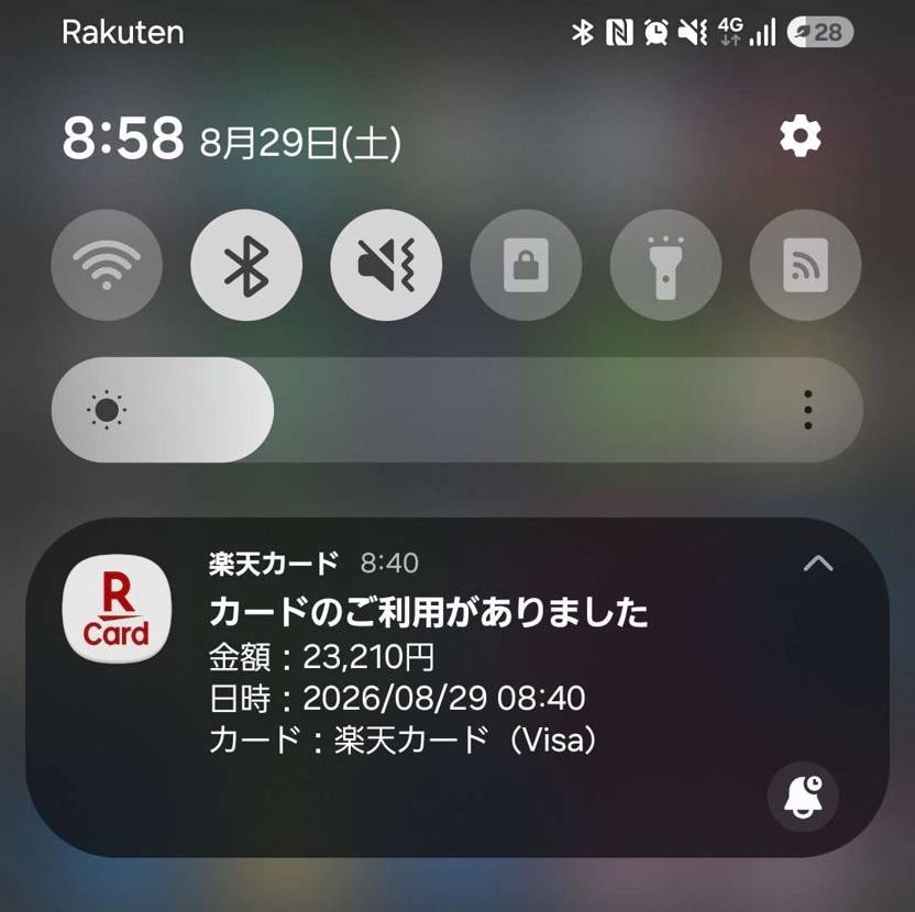 Undefeated来たぁ！

SNKRSは安定の落選(汗)