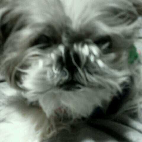 ユーザーアイコン