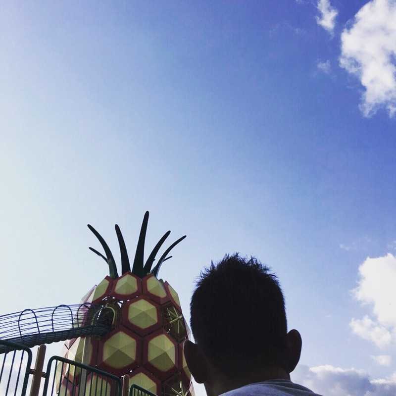 ダンボ