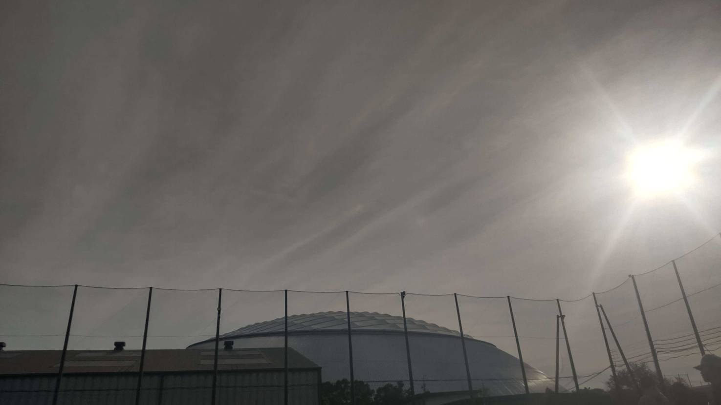 日本中のリバーススウッシュ集まってます、多分。
安心してください、🐯🐡は凪です