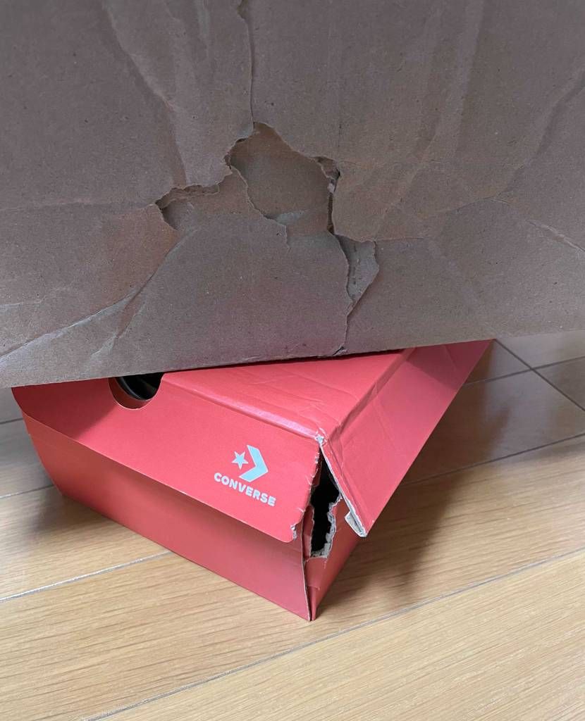 ❎でCT70買ったら箱の縁が粉砕してて新年早々洗礼を浴びましたww
プレ値の物