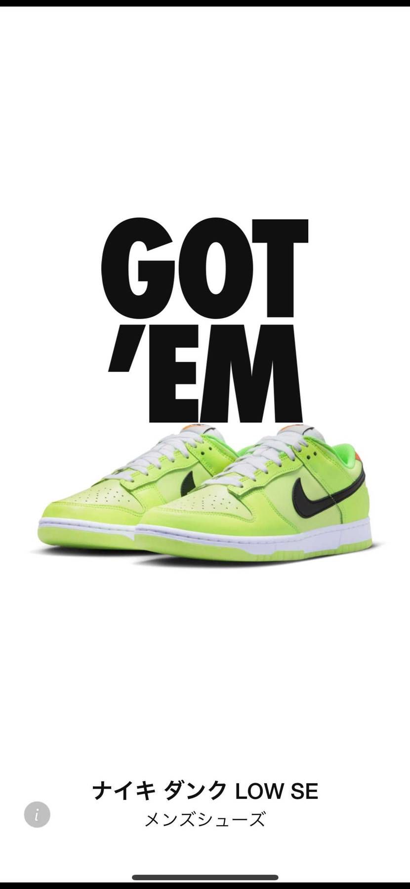 Nike Dunk Low