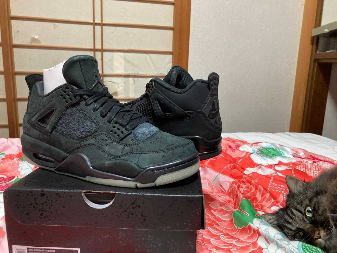 🐦‍⬛&🐈‍⬛