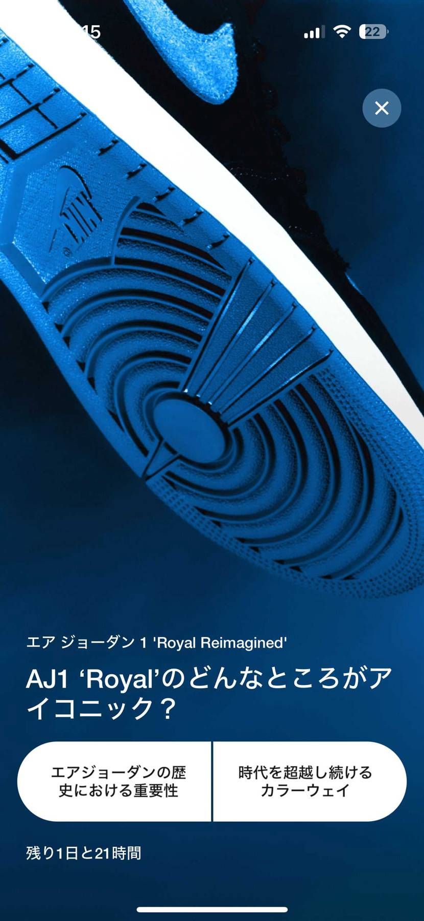 アイコニックってどう言う意味ですか？