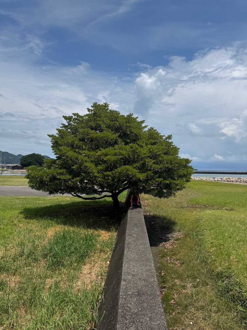 おはようございます☀️
3年ぶりの実家😂
本州でここより