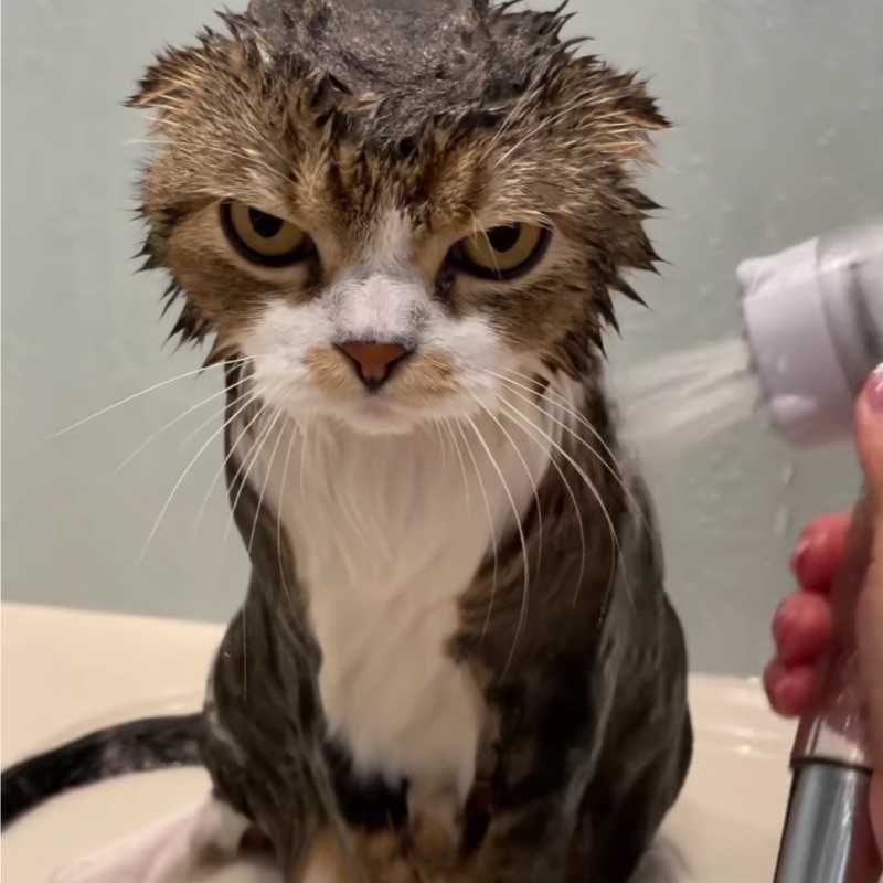ユーザーアイコン