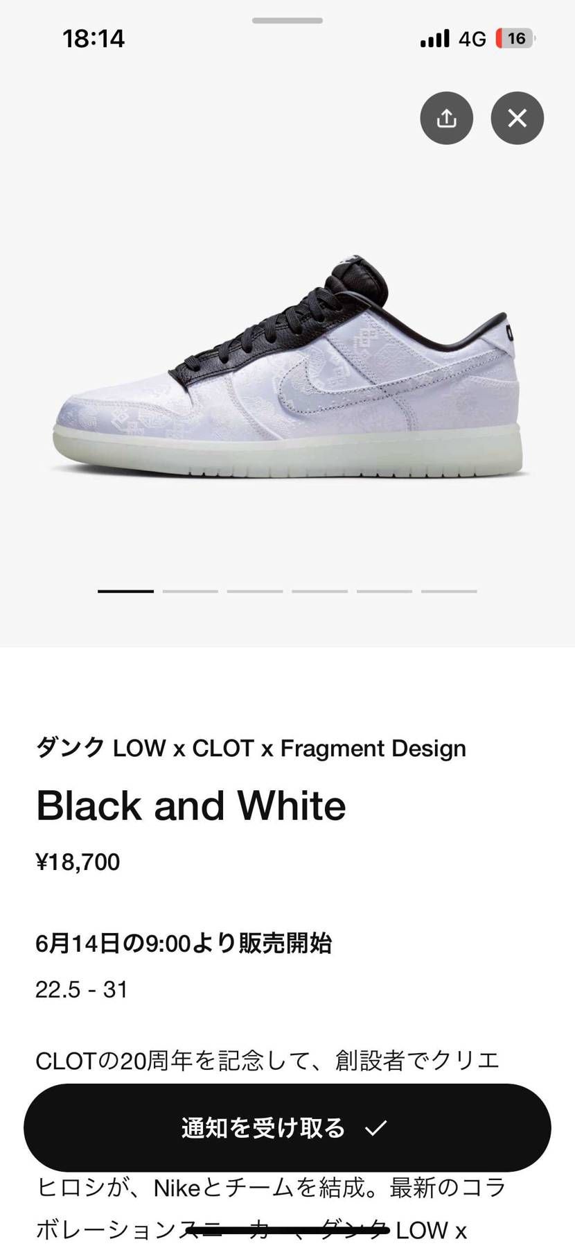 藤原ヒロシの履いてるdunk