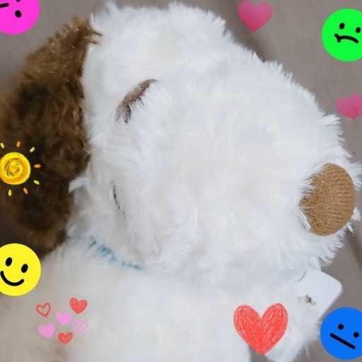 ★Chan-Chan★