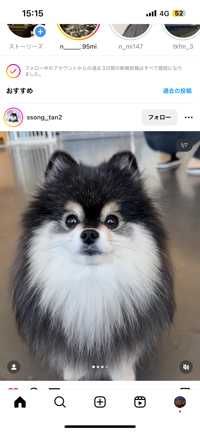 ぽめ