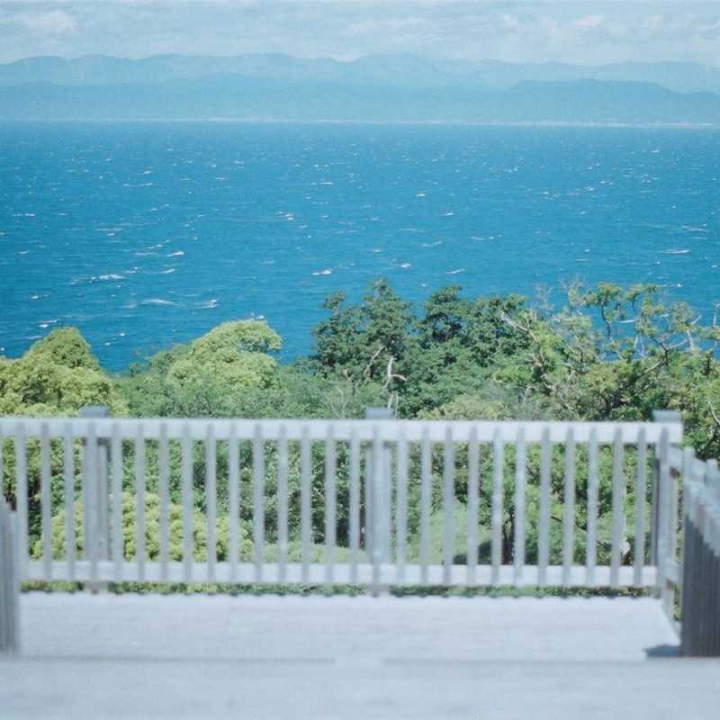 水野(出品者)