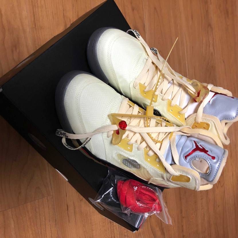 昨日我が家に新しい仲間が来ました🥰

たまらん🤩🤩🤩🤩🤩